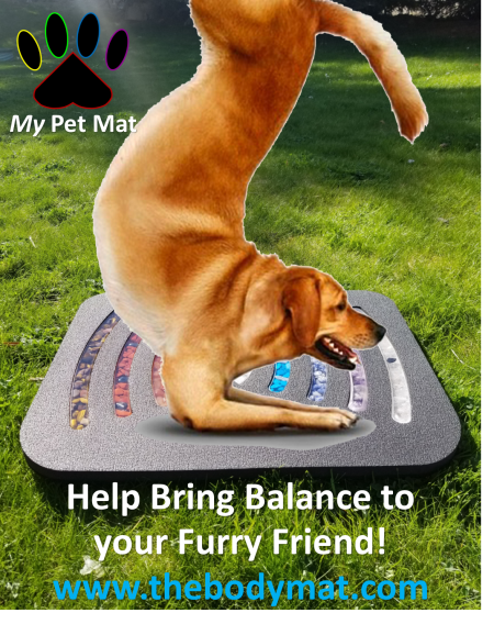 Help Bring Harmonic Balance to your Furry Friend with My Pet Mat by The Body Mat